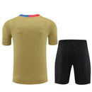 Kit Treino Barcelona 23/24 - Dourada